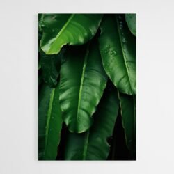 Cuadro Hoja de Banano