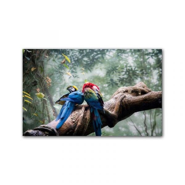 Cuadro Loros Azules