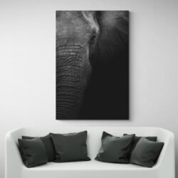 Cuadro Foto Elefante