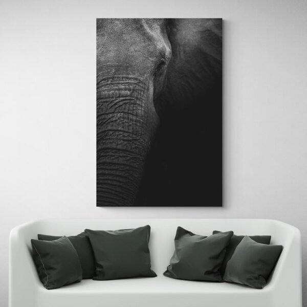 Cuadro Foto Elefante