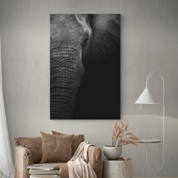 Cuadro Foto Elefante