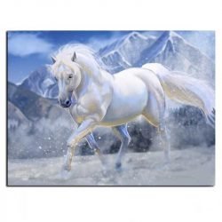 Cuadro Caballo Blanco