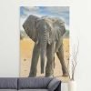 Cuadro Bebé Elefante