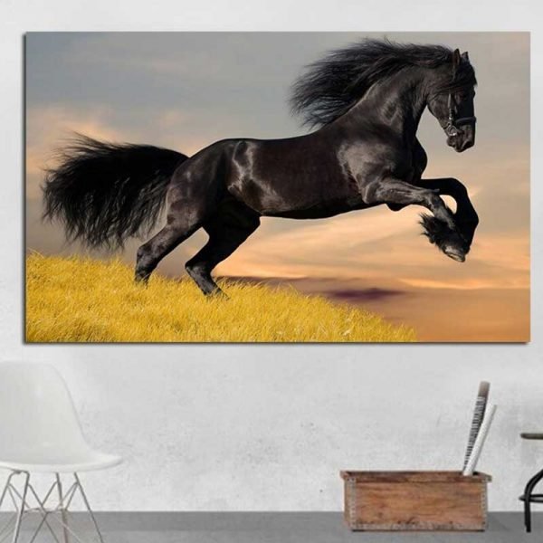 Cuadro Caballo Negro