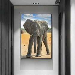 Cuadro Bebé Elefante
