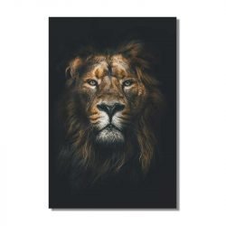 Cuadro León Fondo Negro