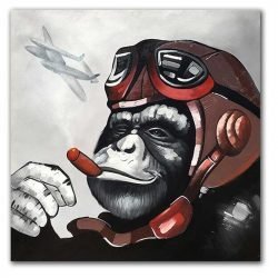 Cuadro Mono Aviador