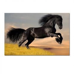 Cuadro Caballo Negro