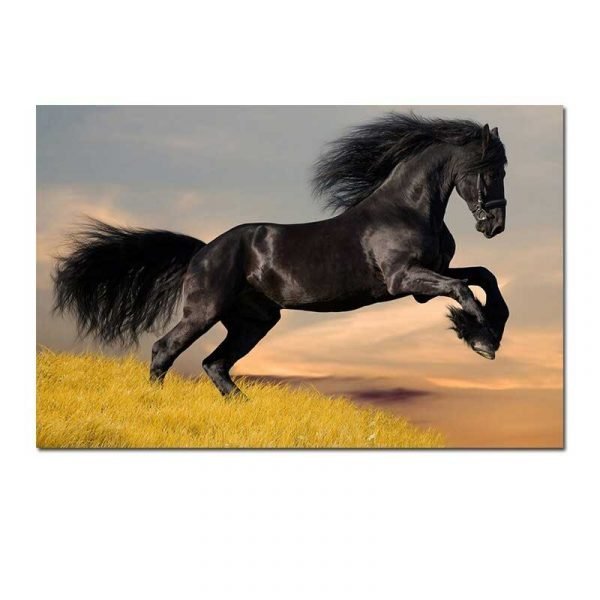 Cuadro Caballo Negro