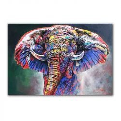 Cuadro Elefante Multicolor