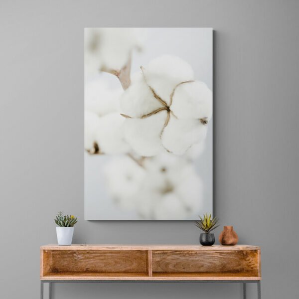Cuadro Flor de Algodón