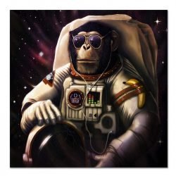 Cuadro Mono Astronauta