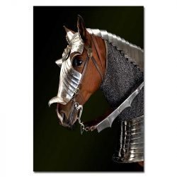Cuadro Caballo de Guerra