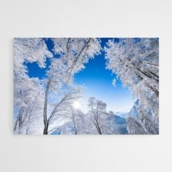 Cuadro Bosque y Nieve