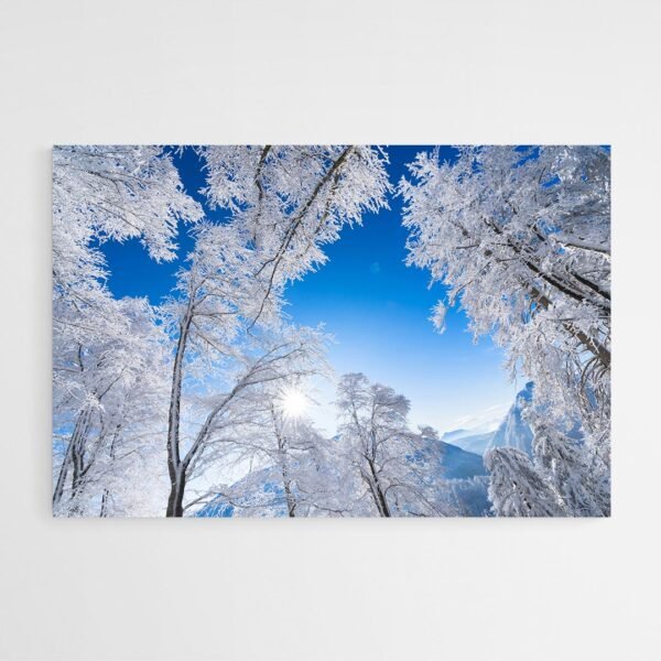 Cuadro Bosque y Nieve
