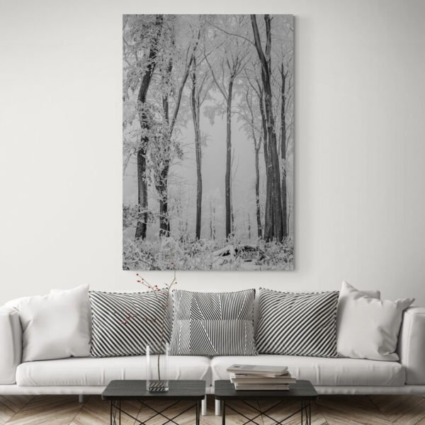 Cuadro Bosque Nevado