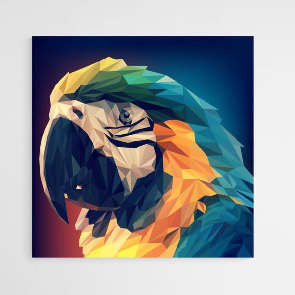 Cuadro Loro Diseño