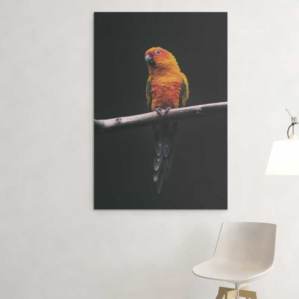 Cuadro Loro Naranja