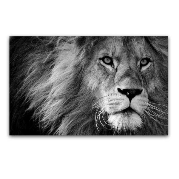 Cuadro León Negro