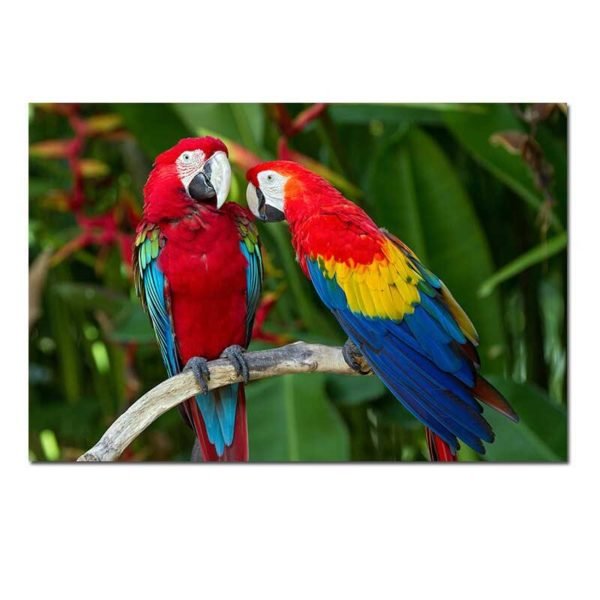 Cuadro Loro en una Rama