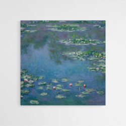 Nenúfares - Monet