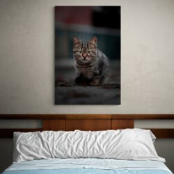 Cuadro Gato Abstracto
