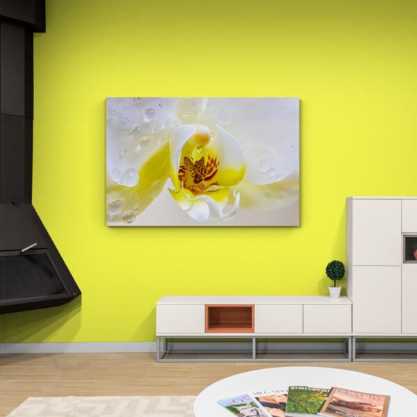Cuadro Flor Orquídea