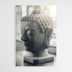 Cuadro Cabeza de Buda