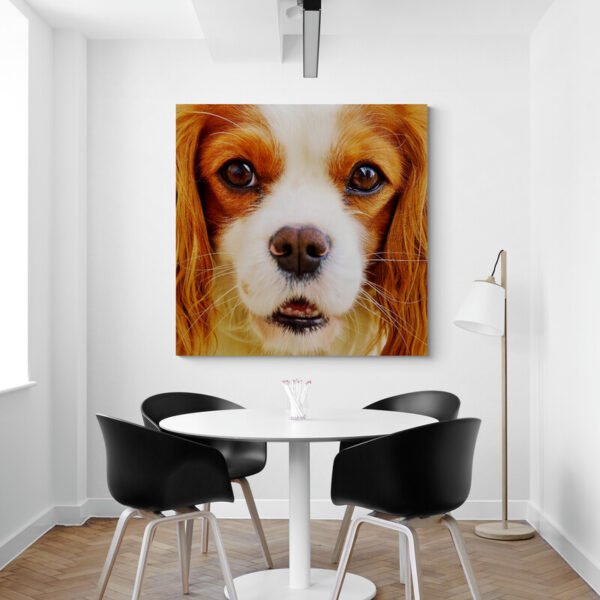 Cuadro Cavalier King Charles