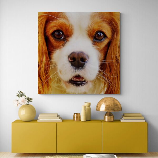 Cuadro Cavalier King Charles