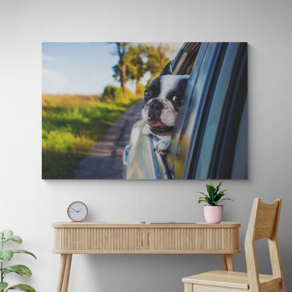 Cuadro Bulldog