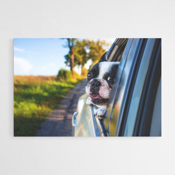 Cuadro Bulldog