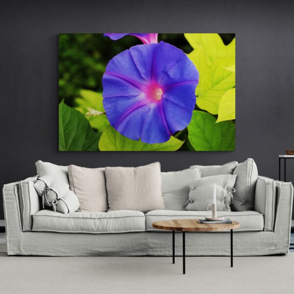 Cuadro Flor Azul
