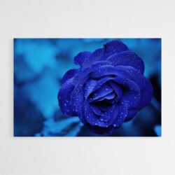 Cuadro Rosa Azul