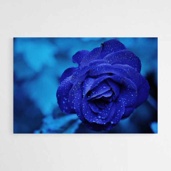 Cuadro Rosa Azul