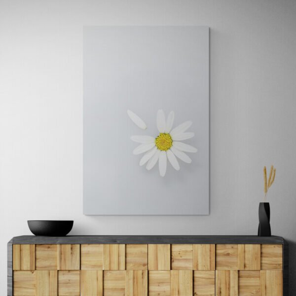 Cuadro Flor Margarita