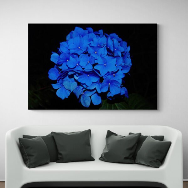 Cuadro Hortensia Azul