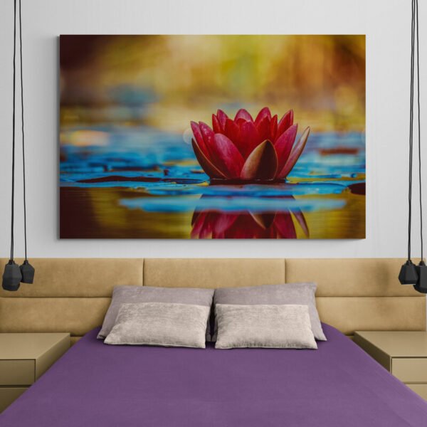 Cuadro Loto Zen