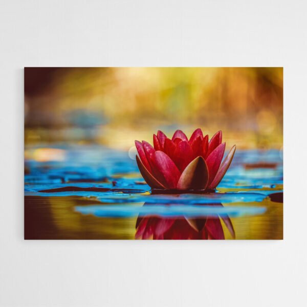 Cuadro Loto Zen