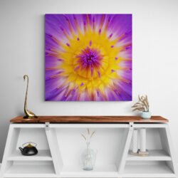 Cuadro Flor de Loto
