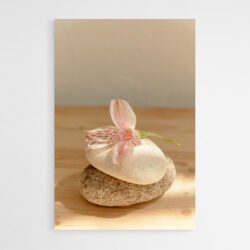Cuadro Zen Orquídea