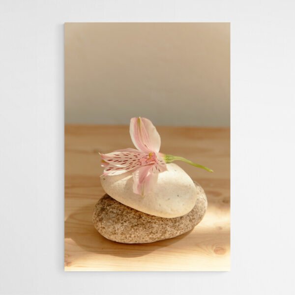 Cuadro Zen Orquídea