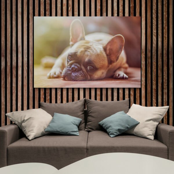 Cuadro Bulldog Francés